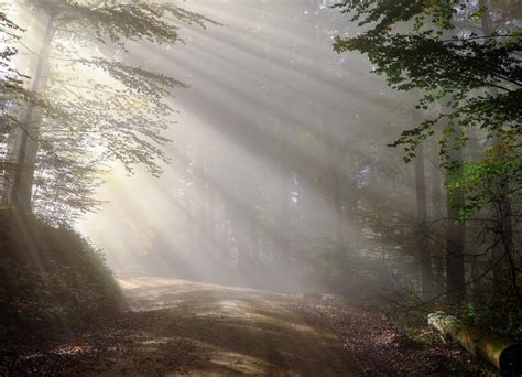 Kurt Koontz A Million Steps Camino De Santiago Caminoways