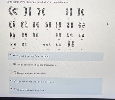 Solved Using The Following Karyotype Select All Of The True Chegg