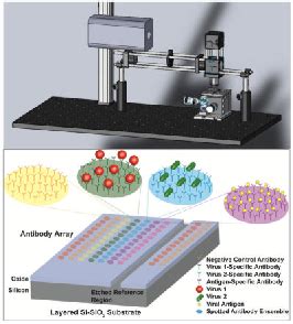 Figure 1 From Label Free Multiplexed Virus Detection Using Spectral