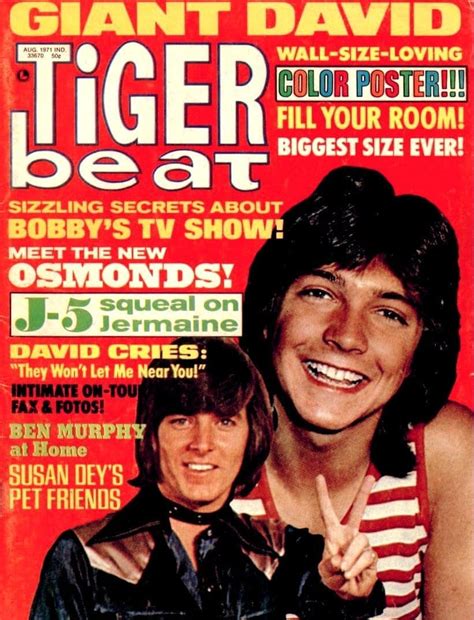 See The Top Stars On These Vintage Tiger Beat Magazine Covers From The 1970s And Relive All The