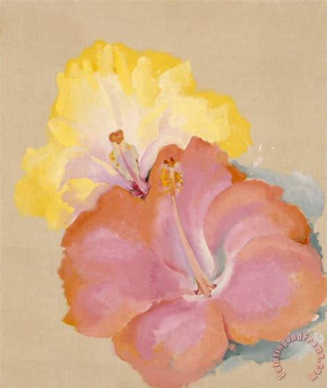 Georgia O Keeffe Untitled Hibiscus 1939 Painting Untitled