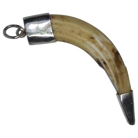 Alberto Juan Mexican Sterling Silver Wild Boar Tusk Pendant Charm For