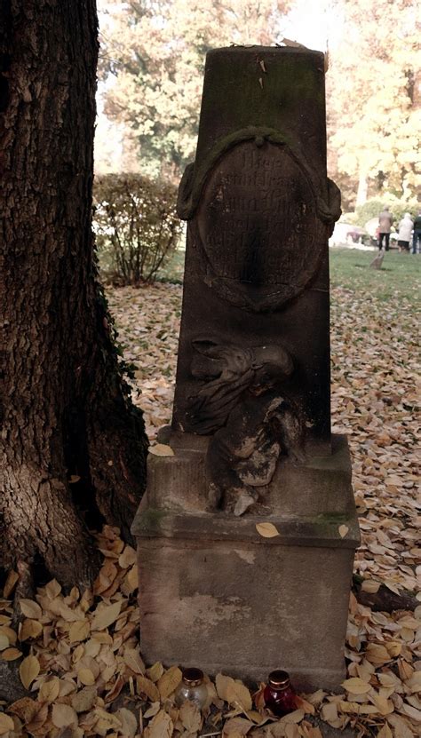 kaktus Sztuka sepulkralna Cmentarz św Jadwigi w Pszczynie