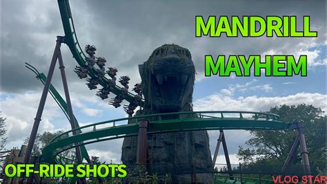 Mandrill Mayhem Chessington World Of Adventures YouTube