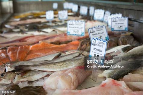 303 Monk Fish Stock Photos High Res Pictures And Images Getty Images