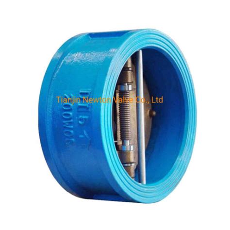 Class150 Stainless Steel Ductile Iron Dual Plate One Way Wafer Type Flap Check Valve At Best