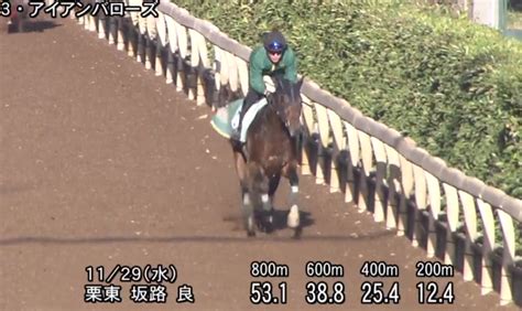 【ステイヤーズステークス2023予想オッズ】最終追い切り・調教評価 ゆうちゃりすの競馬ときどき一口馬主ブログ