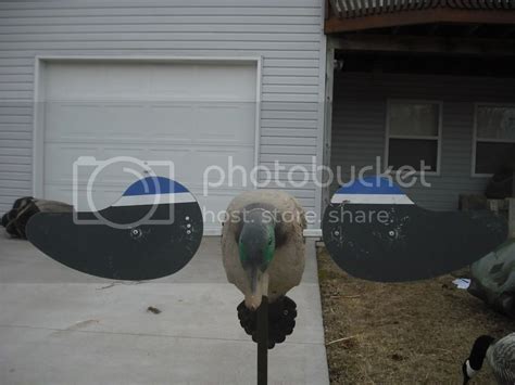 Decoys | Duck Hunting Forum