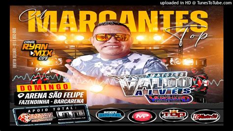 Cd Ao Vivo Dj Valdo Alves Arena Sao Felipe Em Barcarena Marcantes