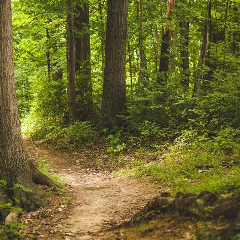 The 5 best parks to experience in vancouver bc – Artofit