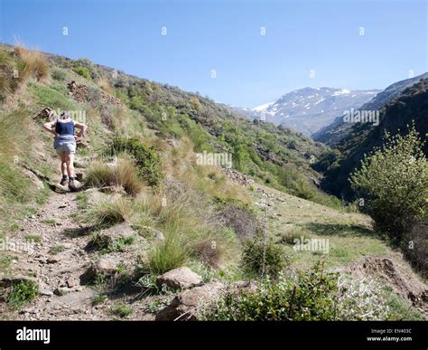 Woman Walker And Landscape Of The River Rio Poqueira Gorge Valley High