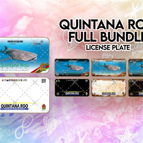 Quintana Roo License Plate Etsy