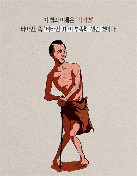 바르다 정선생 건강서적 리뷰 인류를 구한12가지 약 이야기 영양소 결핍에 대한 식품영양학의 이론들 암 환우를 위한