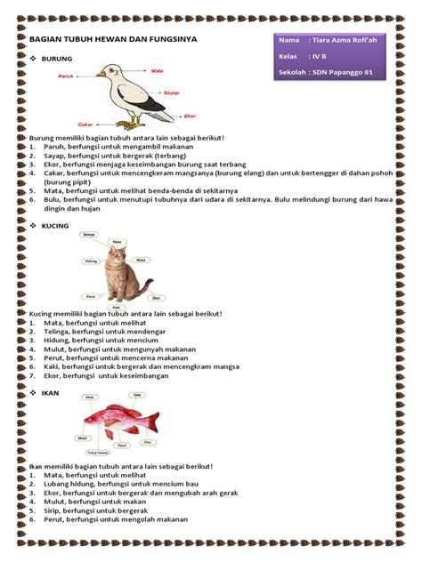 bagian tubuh hewan  fungsinya