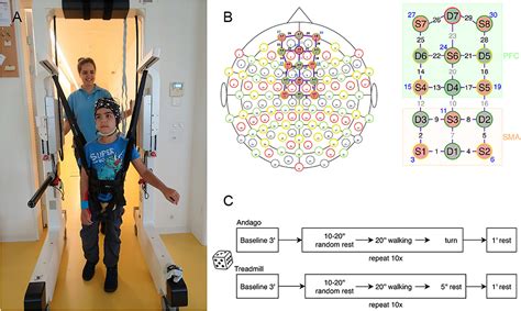 Frontiers Prefrontal Cortex And Supplementary Motor Area Activation