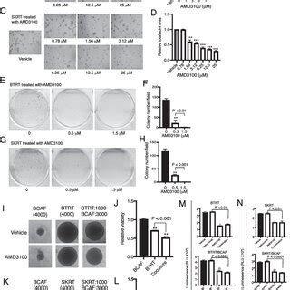 Targeting CXCR4 Abrogates Trastuzumab Resistance A HER2 Breast