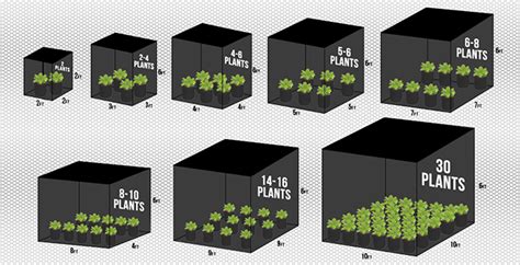 The Complete Guide To Grow Tents