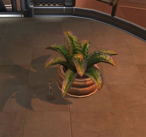 Tor Decorating Potted Plant Large Fern Swtor