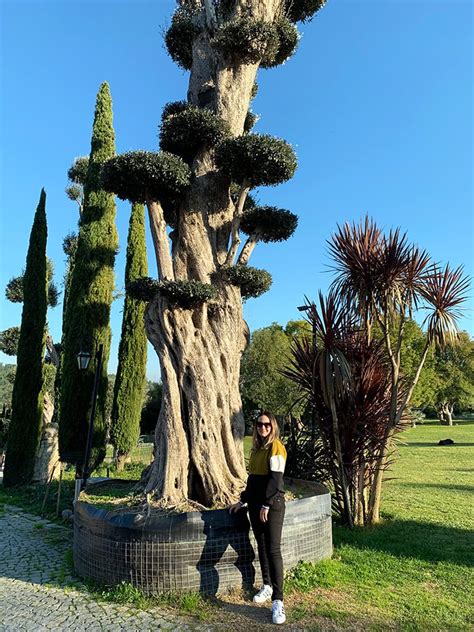 Urla da Gezilecek Yerler İzmir Urla Gezi Rehberi