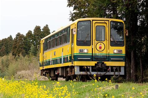 いすみ鉄道 いすみ200形 いすみ206号車果て無き車両図鑑