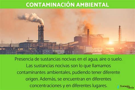 La Contaminaci N Ambiental Causas Consecuencias Y Soluciones En