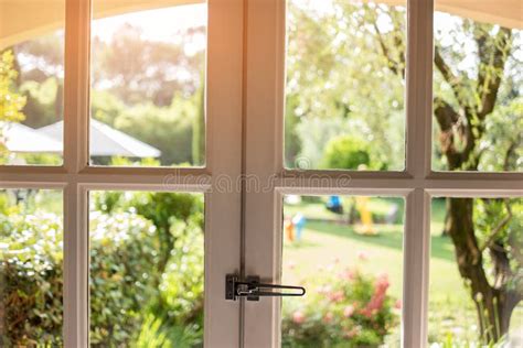 Nature in window. stock image. Image of building, green - 84213451