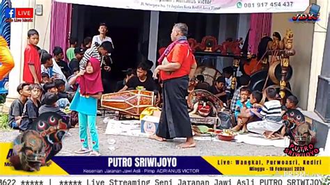 Putro Sriwijoyo Seni Jaranan Jawi Asli Live Rmh Hj Lilik