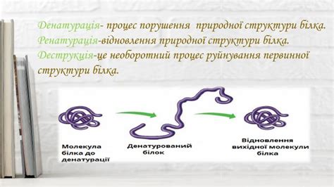 Будова і функції білків