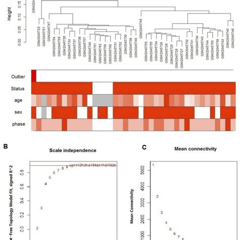 Construction Of Co Expression Modules Using WGCNA A Cluster