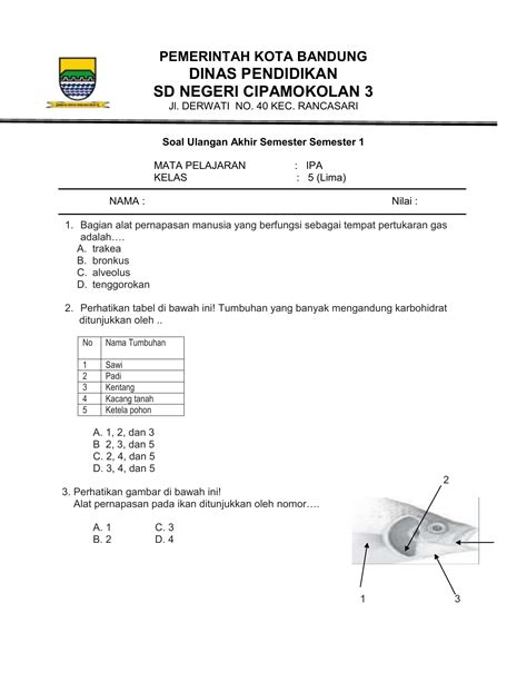 Contoh Soal Ipa Sistem Pencernaan Kelas 5 Sd Beinyu