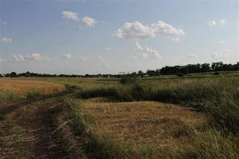 Premium Photo A Dirt Road Through A Field With Midewin National