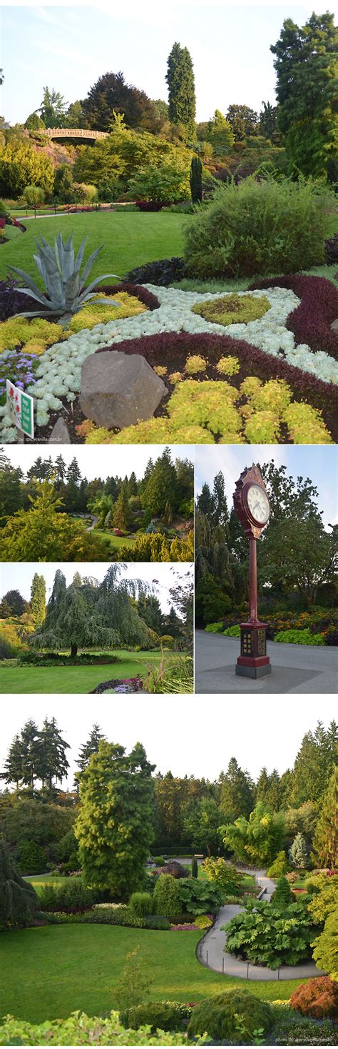 Vancouver Queen Elizabeth Park E Restaurante Seasons In The Park