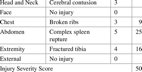 Iss Calculation Example Region Injury Description Ais Square Download