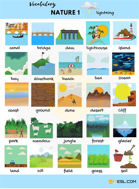nature words  nature vocabulary  english  esl english