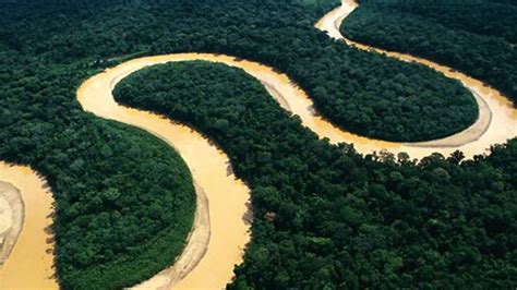 Donde Esta El Rio Amazonas - SEO POSITIVO