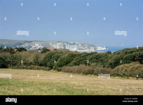 Landscape View Looking Towards Ballard Down On A Sunny Day In Swanage