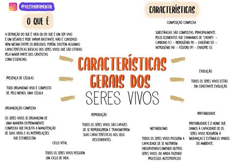 Caracter Sticas Do Seres Vivos Resumos E Mapas Mentais Infinittus