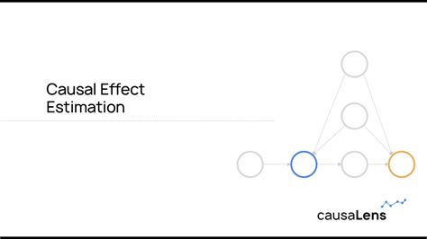 Causal Effect Estimation Youtube