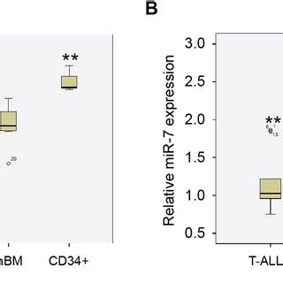 Microrna Mir Expression Inversely Correlates With Tal Expression