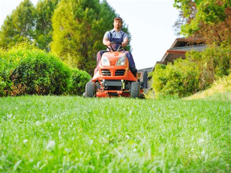 Can I Mow After Overseeding Your Quick Guide