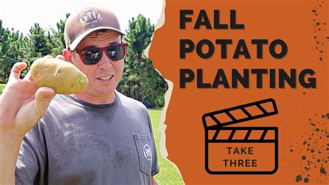 Can You Grow Potatoes In The Fall Youtube