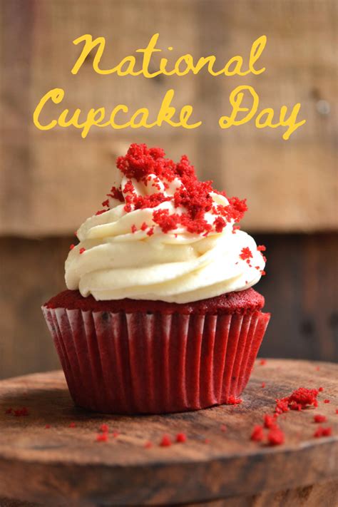 Celebration Ideas And Fun Facts For National Cupcake Day Holidappy