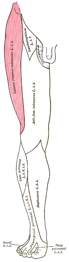 What is meralgia paresthetica and what are its causes?