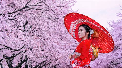 Asian Woman Wearing Japanese Stock Image Colourbox