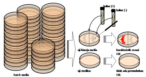 Jaminan Kualitas Media Laboratorium Mikrobiologi Standar