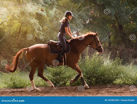 Jeune Jolie Fille Montant Un Cheval Avec Les Feuilles R Tro Clair Es