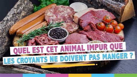 Pourquoi Les Musulmans Ne Mangent Pas De Porc La R Ponse