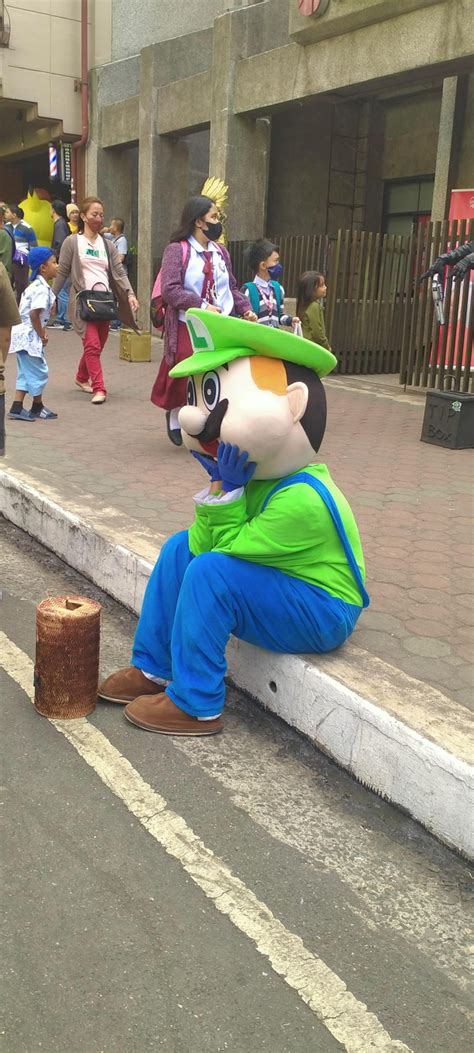 Sad Luigi - Meme Guy