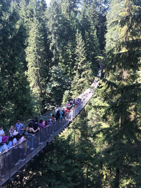 Capilano bridge – Travelin' Twins