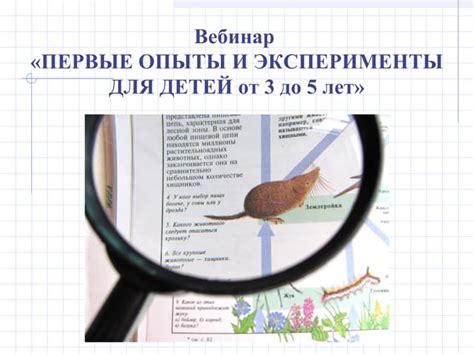 Вебинар "Первые опыты и эксперименты" | PPT